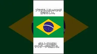 Thumbnail: ブラジル人がJ-POPを演奏してみた｜4曲ブラジル化メドレー
