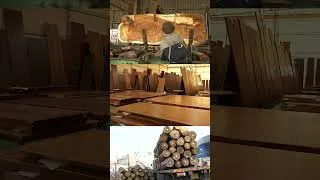 Thumbnail: 대형 목재를 절단하는 과정 / process of cutting large timber #shorts