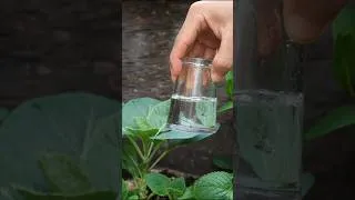 Thumbnail: This Water Trick Will Blow Your Mind #physics #scienceexperiment