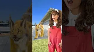 Thumbnail: Is That A Cat? Nope…It’s a LYNX!