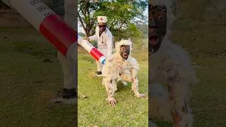 Thumbnail: Amazing Monkey 🐵 Doctor Comedy Video #shorts #comedy #funny #prank