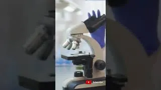 Thumbnail: Healthcare Blockchain Artificial Intelligence (AI)
