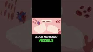 Thumbnail: Unlocking the Secrets of Your Pulse and Circulatory System Explained!