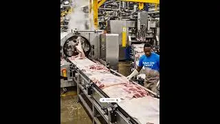 Thumbnail: Inside Cow Leather Factory