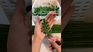 Thumbnail: #pipecleanerflowers #smallbusiness #handmade