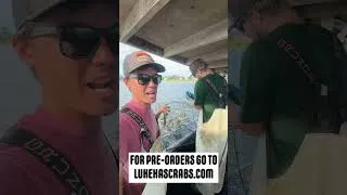 Thumbnail: Crab sale this weekend!