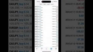 Thumbnail: Over 800% profit with FX SCALPER 4X!  #forex #forextrading #algorithmictrading #automatedtrading