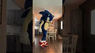 Thumbnail: Sonic is back! #sonicthehedgehog #mascot #costume #fursuit