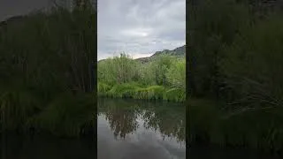 Thumbnail: South Fork of the Kern River!