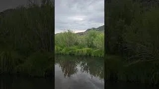 Thumbnail: South Fork of the Kern River!