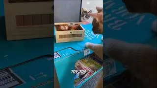 Thumbnail: my kittens vs useless box fun cool gadget 😎 #shorts