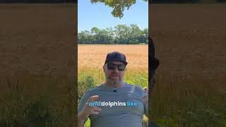 Thumbnail: Why Your Robot Mower is Getting Stuck!