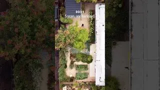 Thumbnail: Our backyard transformation in 5 years