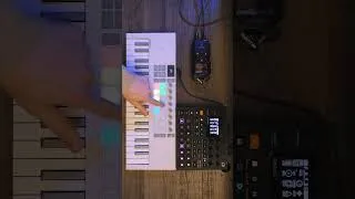 Thumbnail: Freedom of the Body, freedom of the Mind #shorts #electronicmusic #digitakt