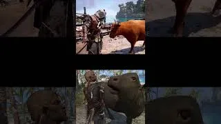 Thumbnail: AC Black Flag Resynced VS Original - Animals