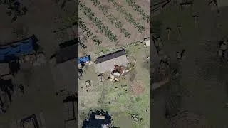 Thumbnail: Maiden Voyage Of Hot Air Balloon In Crimson Desert Goes Horribly Wrong