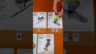 Thumbnail: Wingspan Pocket: The Cards
