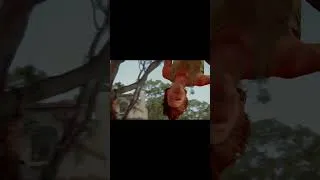 Thumbnail: The Last of Us Parallels: Joel & Ellie's Injuries #shorts #thelastofus #joelandellie