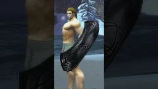 Thumbnail: Guild Wars - ALL UNIQUE SHIELDS #guildwars1 #armour