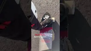 Thumbnail: Wolfshark on zealous v2 slalom’s November 2025 #Landyatchz #Skate #longboard