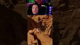 Thumbnail: You cannot be afraid of heights playing this game | Stellar Blade | game play | episode 57