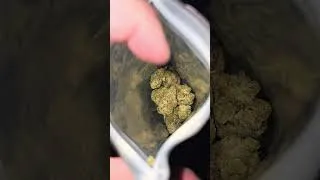 Thumbnail: Jungle Fuel - Cross Of Topanga Canyon x Mike Larry