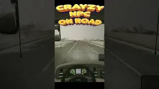 Thumbnail: Crazy NPC on Road | Fernbus Simulator [1.30 beta] #fernbussimulator