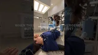 Thumbnail: When There’s A Medical Emergency But You’re A Vet 🩺🐾😅 #gardemalade