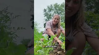 Thumbnail: Don't Be Afraid to Experiment in the Garden!