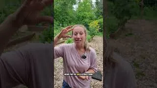 Thumbnail: The Watering Mistake That's Killing Your Garden