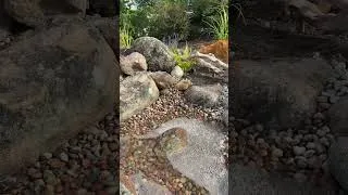 Thumbnail: We are loving the recently re-installed Aquascape pondless waterfall in our garden!