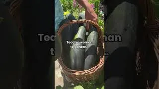Thumbnail: Zucchini is so easy to grow that if you do it right, you’ll get more than you need😂#garden #plants