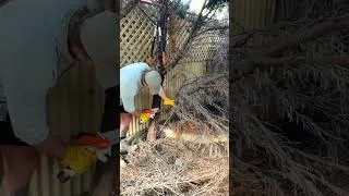 Thumbnail: 20 HOUR cleanup in ONE MINUTE! - Very Satisfying Reveal