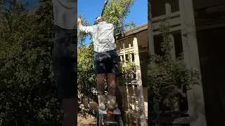 Thumbnail: I TRANSFORMED this ABANDONED property for FREE