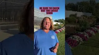Thumbnail: These Planters Knocked Our Socks Off! #gardencrossings #provenwinners #containergardening