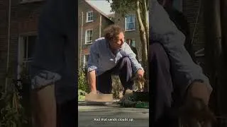 Thumbnail: Monty Don's Advice For Planting Waterlilies 🪷