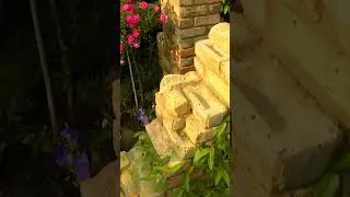 Thumbnail: Monty Don's Idyllic British Garden Transformation🌿