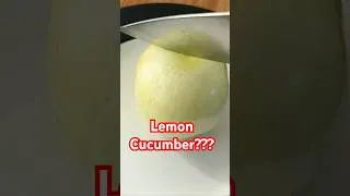 Thumbnail: Have you seen this before? A lemon cucumber! #cucumber #vegetablegarden #budgetgarden #kitchengarden