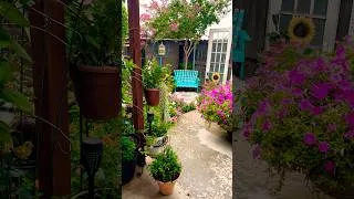 Thumbnail: My Garden Needed This!