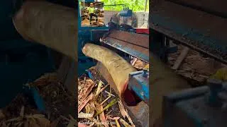 Thumbnail: 💥Lightning Fast Firewood Machines & Tools #garden #balconygardening#shorts #viral