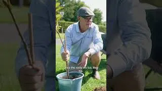 Thumbnail: Best Way to Plant a Tree! | Gardening Australia