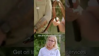 Thumbnail: Snake Bite Safety | Gardening Australia
