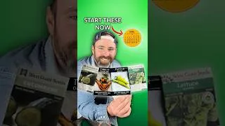 Thumbnail: 5 Seeds You MUST Start in April (Don’t Miss These!)