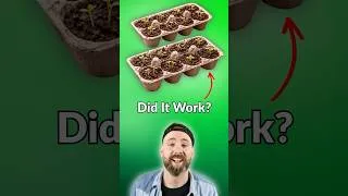 Thumbnail: How To Start Seeds In Egg Cartons #shorts #gardening