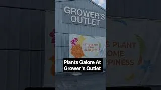 Thumbnail: Plants Galore At Grower's Outlet! Time To Get Ready For Fall #youtubeshorts #gardening #plants