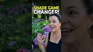 Thumbnail: Shade Garden? Get These Shrubs! #shadeplants #gardening