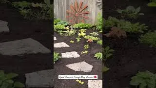 Thumbnail: A Quick Stroll Through the Garden🌺 #garden #gardening #gardensglory
