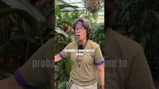 Thumbnail: Don’t over water your plants this winter! #shorts