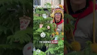 Thumbnail: Alternative Christmas Tree Ideas! 🌲🌴 #shorts