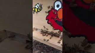 Thumbnail: Host-a-Hive Visits May 2021 (video 3)